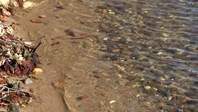 Environmental group seeks to improve Cape Cod water quality issues