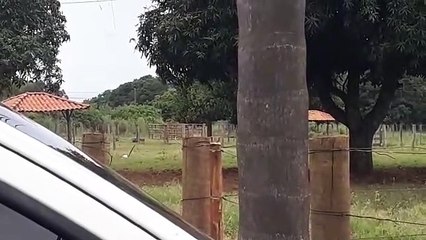 Policiais do Bope destroem granada de uso militar em Brazlândia