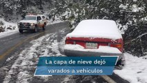 Se acumulan 30 centímetros de nieve en cerro El Potosí de Nuevo León