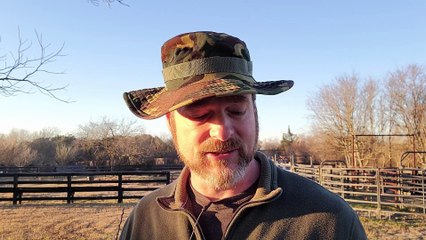 Did Jesus Blaspheme in Matthew 9:1-8?