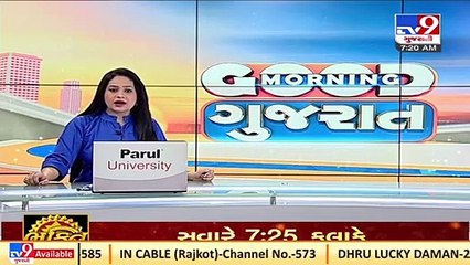 After allegations of Corruption, Gandhidham's timber trader turns up clarifications _ Kutch_ TV9News