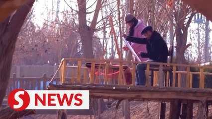 Xinjiang, My home: A painter's happy life