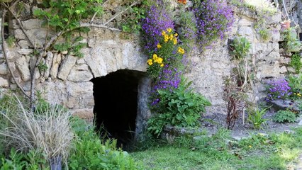 Mon jardin et ma maison - Visite du jardin d'Igor et Tamara