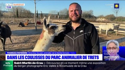 Dans les coulisses du parc animalier de Trets_bfmmarseille8fev2022