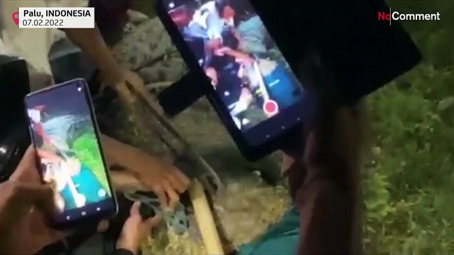 تصاویری از اندونزی؛ تمساحی پس از پنج سال از لاستیک دور گردنش رهایی یافت