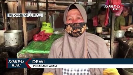 Harga Ayam Potong Di Pekanbaru Turun Drastis