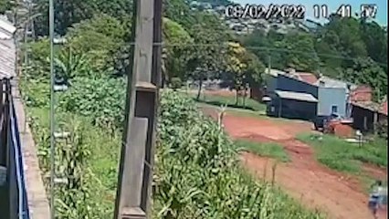 Câmera flagra momento em que mulher joga roupas e ateia fogo em matagal no Santa Felicidade