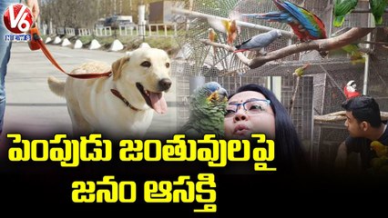 City Public Show Special Interest On Pets  _ Hyderabad _ V6  News