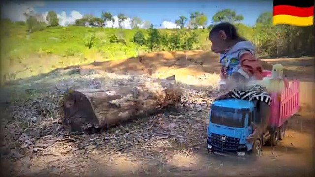 BiBi takes ducklings to harvest fruit in the storm