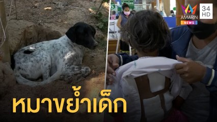 หมา 5 ตัวรุมกัดเด็ก 4 ขวบ อาการสาหัส แฉเพื่อนบ้านเลี้ยงแบบปล่อย | ข่าวเที่ยงอมรินทร์ | 9 ก.พ.65