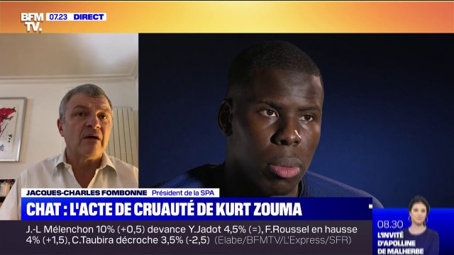 C'est un délit : la SPA va porter plainte contre Kurt Zouma pour maltraitance animale