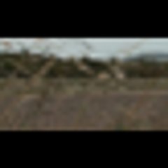 Fear Factor Malaysia Ep 08