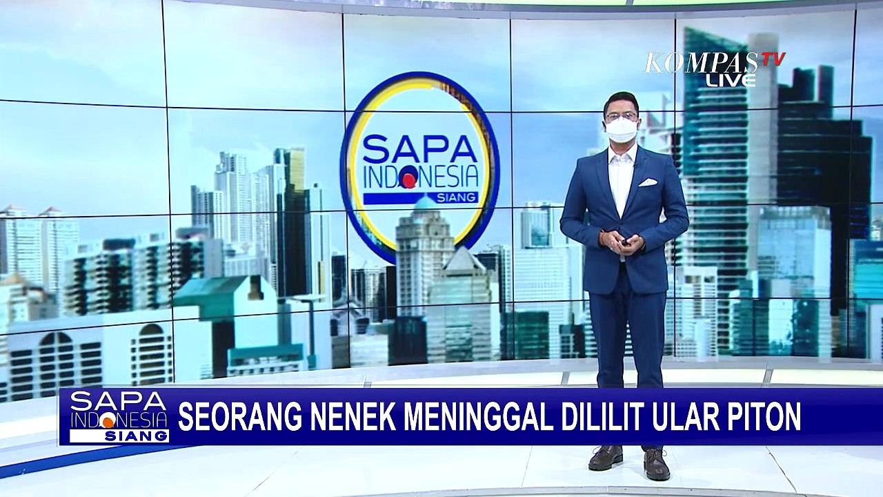 Terkulai Lemas dan Tak Sadarkan Diri, Seorang Nenek di Jambi Meninggal Dililit Ular Piton 6 Meter