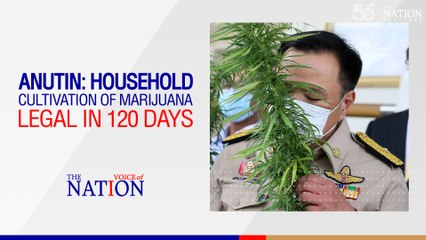 Anutin: Household cultivation of marijuana legal in 120 days | Voice of The Nation