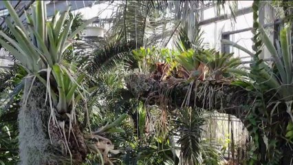 Jardin - Parc botanique de Genève