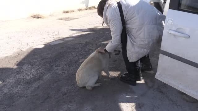 Üniversite öğrencileri patili dostları el birliğiyle besliyor