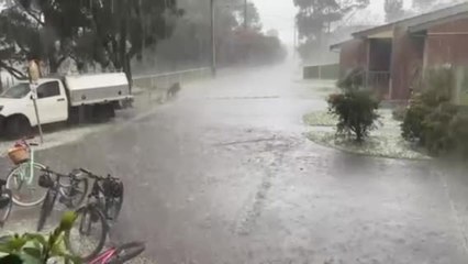 Crazy weather in Woonona, Illawarra Mercury, 8.11.21