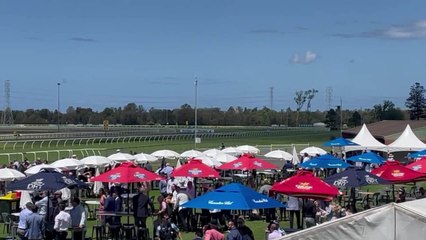 Scenes from Melbourne Cup Race Day at Kembla Grange; Illawarra Mercury; November 2