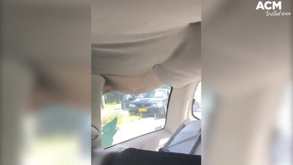 Illawara police vehicle involved in collision | October 2021 | Illawara Mercury