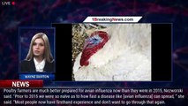 MN farmers warned to prepare for deadly avian influenza - 1breakingnews.com