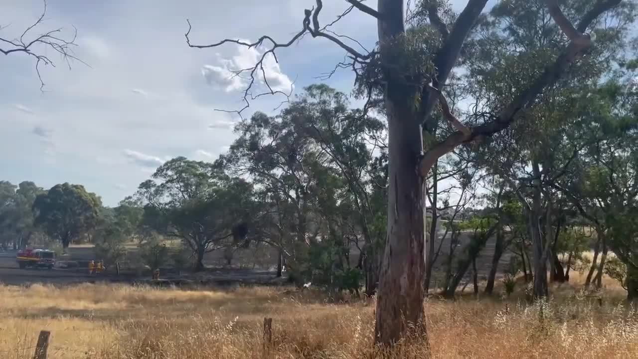On scene at a grass fire in Harcourt North | Jan 2022 | Bendigo Advertiser