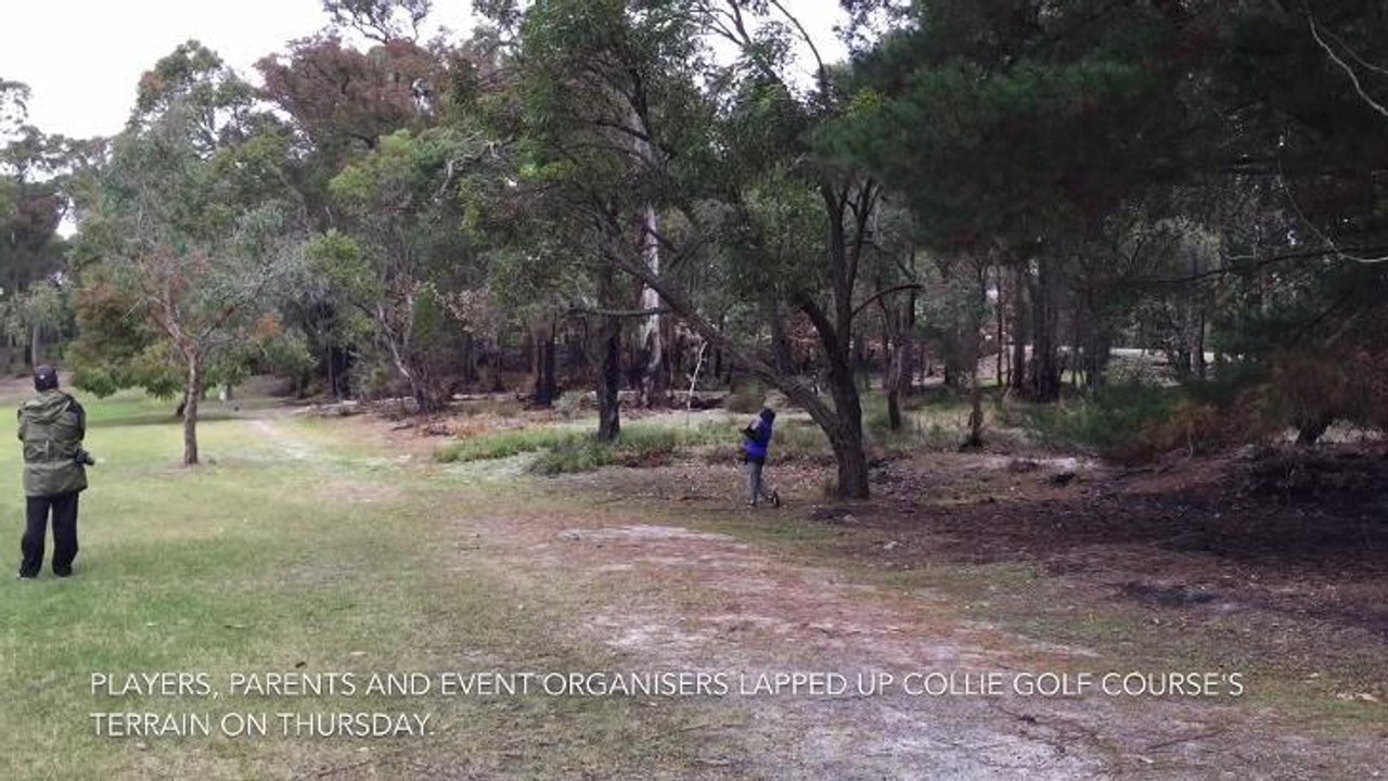 Collie golf video