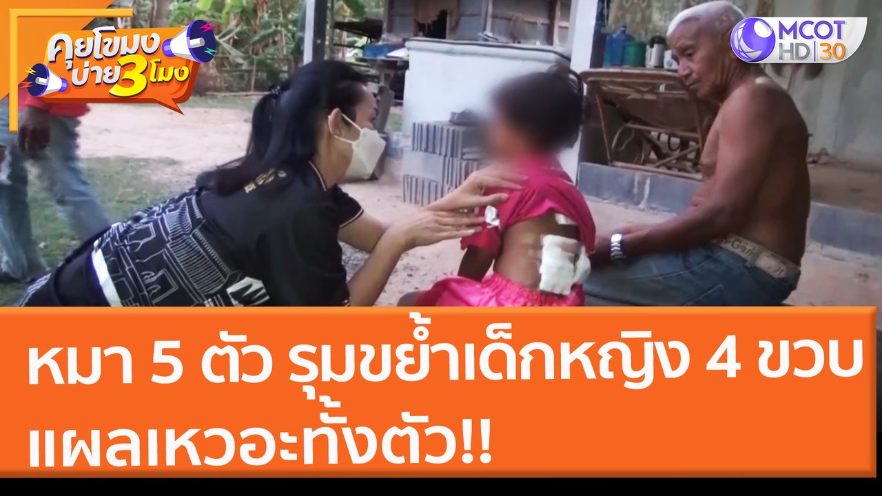 หมา 5 ตัว รุมขย้ำเด็กหญิง 4 ขวบ แผลเหวอะทั้งตัว...