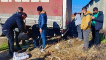 Tır içinde Avrupa ülkelerine gitmeye çalışan iki göçmen Tekirdağ'da yakalandı