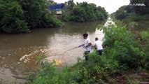 Os microrganismos brasileiros que transformam poluição em alimentos do ecossistema