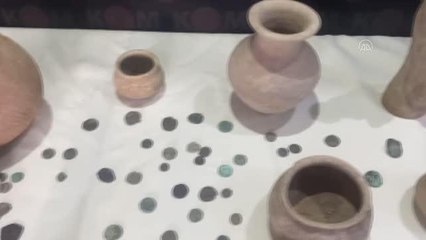 Evinde 309 sikke ve objeler bulunan zanlı gözaltına alındı