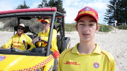 Aiden Old Bar Nipper