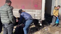 Tırın dorsesinde 2 düzensiz göçmen yakalandı
