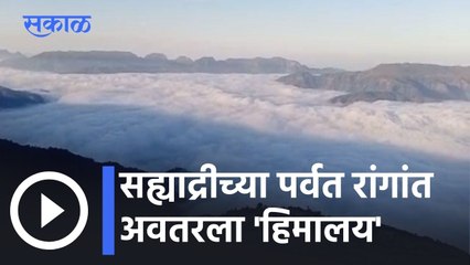 Satara News Updates l सह्याद्रीच्या पर्वत रांगांत अवतरला 'हिमालय' l Sakal