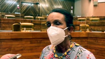 La présidente de Région envisage de finir la NRL en viaduc