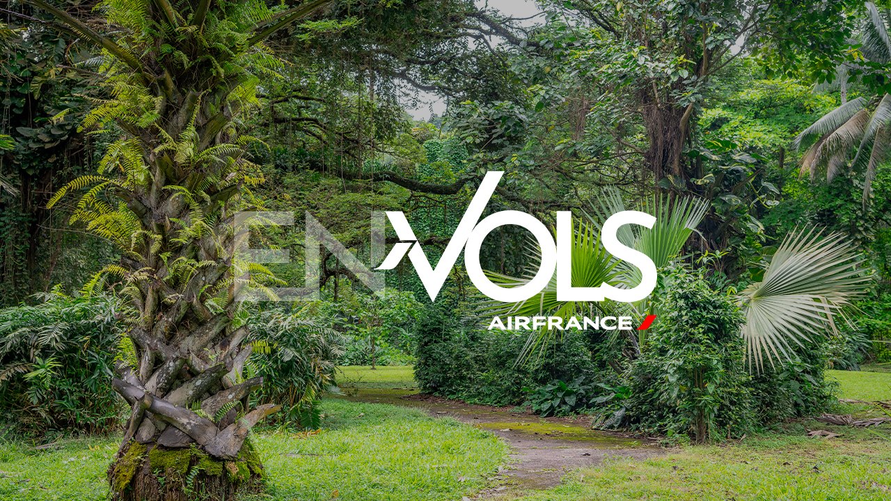 Guide de voyage / Travel Guide - Douala / Yaounde (Cameroun)