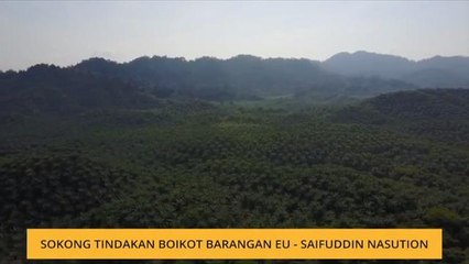 Sokong tindakan boikot barangan EU - Saifuddin Nasution