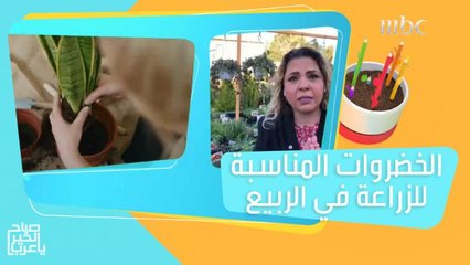 الخضروات المناسبة لزراعتها بمنزلك في فصل الربيع!