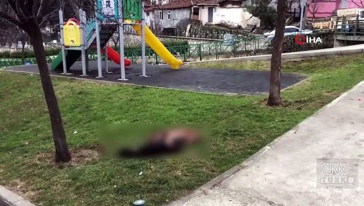 Saldırıyor iddiasıyla köpekleri öldürdü