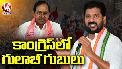TS Congress Leaders Focusing On Next Elections _ V6 News