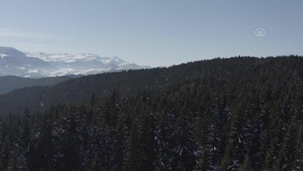 "Sakin şehir" unvanlı Şavşat'ın doğal güzellikleri kliple tanıtıldı