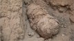 Six nouvelles momies découvertes sur un site au Pérou