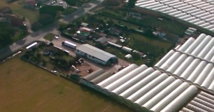 Latina, immigrati sfruttati nei campi: denunciati imprenditori agricoli per caporalato (15.02.22)