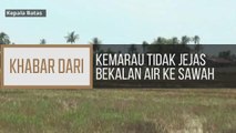 Khabar Dari Pulau Pinang: Kemarau tidak jejas bekalan air ke sawah