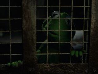 Muppets Most Wanted: Clip - Welcome To The Big House