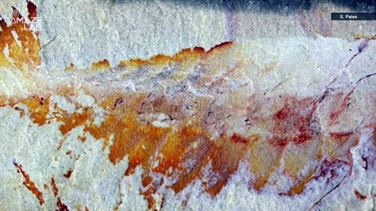 Scientists Identify New, Extinct Creature Related to “The Weirdest Wonder” in the World