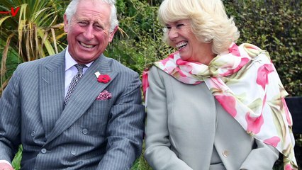 Queen Elizabeth Endorsed Camilla to Prevent PR Crisis After She Dies