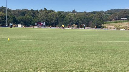 David Ellis highlights vs East Ballarat