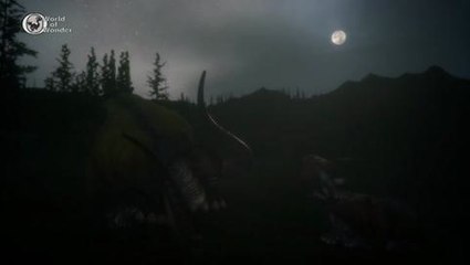 Final Fantasy XV - World Of Wonder Trailer