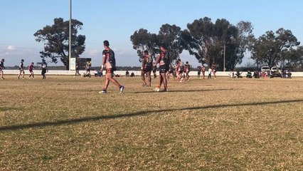 Area News Waratahs vs TLU Sharks