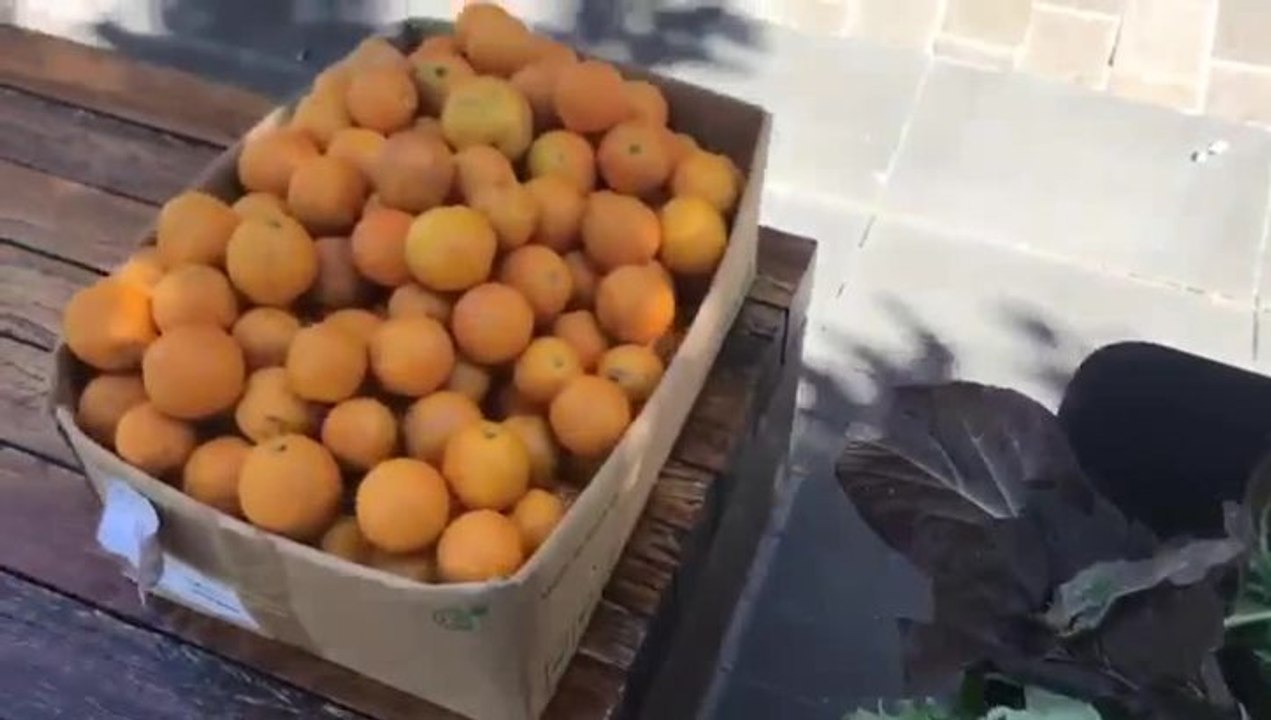 Fresh food boxes for drought-affected farmers